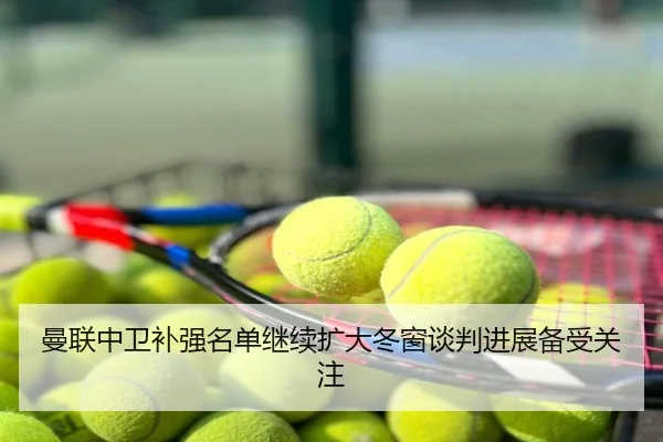 曼联中卫补强名单继续扩大冬窗谈判进展备受关注