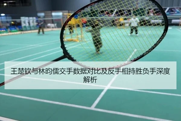 王楚钦与林昀儒交手数据对比及反手相持胜负手深度解析