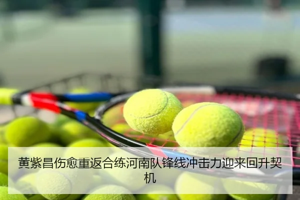黄紫昌伤愈重返合练河南队锋线冲击力迎来回升契机